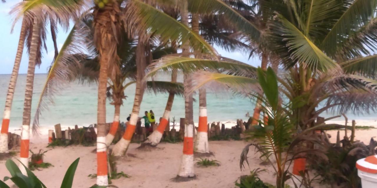 Sunny Beach Apartments San Andrés Exteriör bild