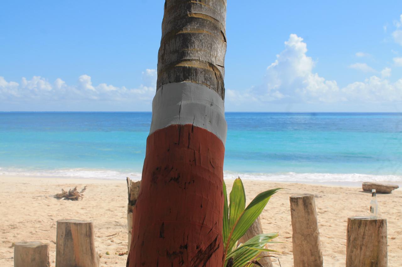 Sunny Beach Apartments San Andrés Exteriör bild